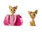 Barbie mini Strollin pups V0838 2