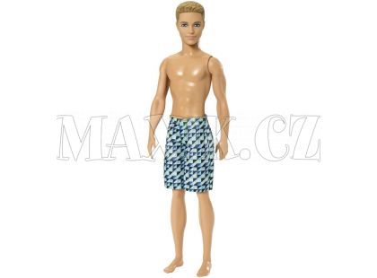 Barbie Plážový Ken
