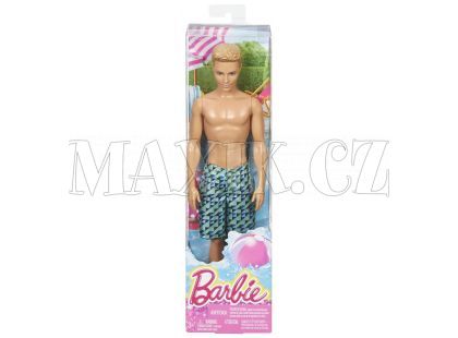 Barbie Plážový Ken