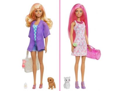 Barbie se zvířátkem color reveal míšenka