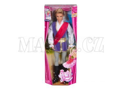 BARBIE X8811 Princ
