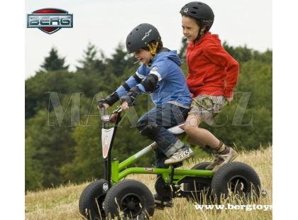 BERG Freestyler 2WD