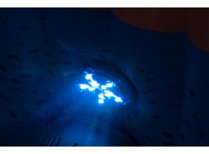 Bestway Lay-Z-Spa barevné LED světlo