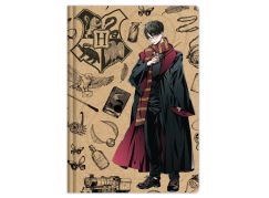 Bluesky Harry Potter Blok s perem Navy & Gold