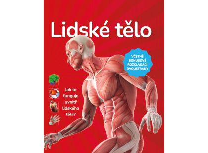 Bookmedia Lidské tělo