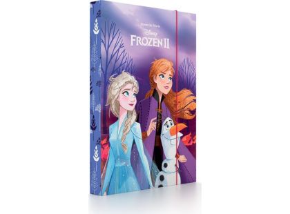 Karton P+P Box na sešity A4 Frozen