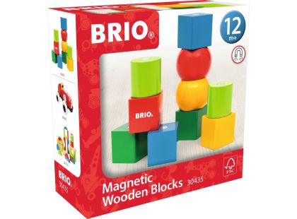 BRIO 30435 Magnetické dřevěné kostky