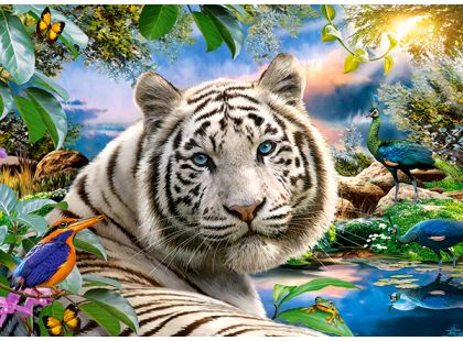 Castorland Puzzle Bílý tygr za soumraku 180 dílků