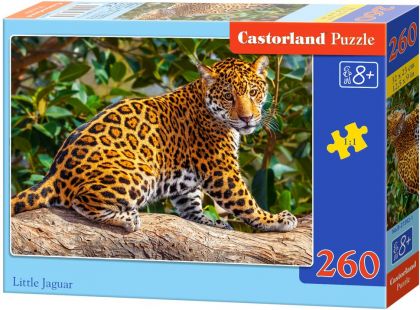 Castorland Puzzle Malý Jaguar 260 dílků