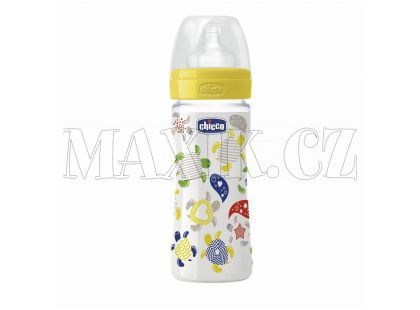 Chicco Láhev polypropylen 250ml sil.dudlík 2m+ Želvy