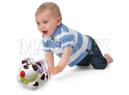 Chicco Pejsek Toby Push´n´Go