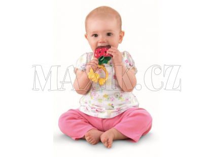Chrastítko jahůdka Fisher Price X5412