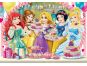 Clementoni Disney Princes Supercolor Princezny Puzzle 2x20d 2