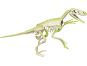 Clementoni Kreativní sada - tesání Velociraptora 2