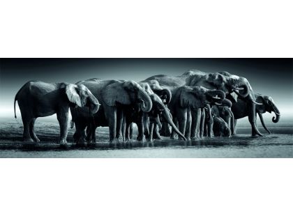 Clementoni puzzle 1000 Panorama Stádo obrů