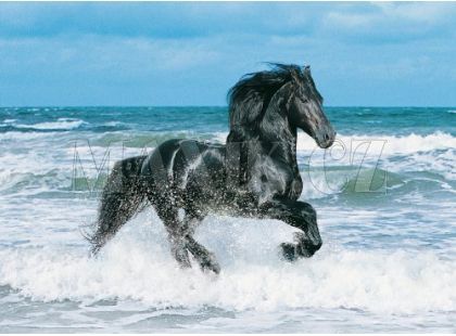 Clementoni Puzzle Kůň v moři 500d