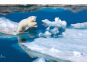 Clementoni Puzzle National Geographic Polární medvěd 1000d 2