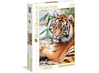 Clementoni Puzzle Tygr Sumaterský 1000d