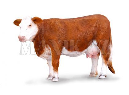 Collecta Hereford kráva 11,5cm