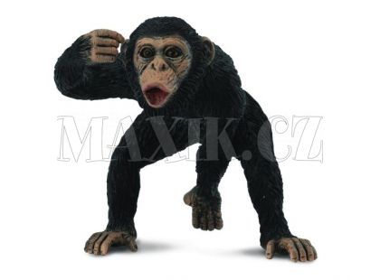 Collecta Šimpanz