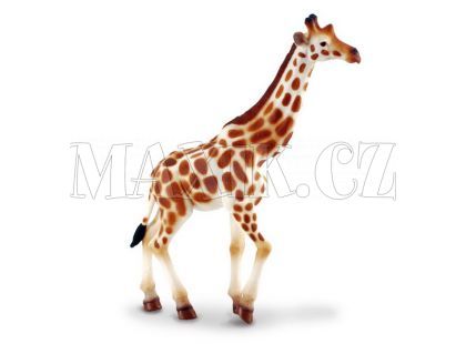 Collecta Žirafa africká