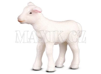 Collecta Jehně - figurka