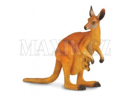Collecta Klokan