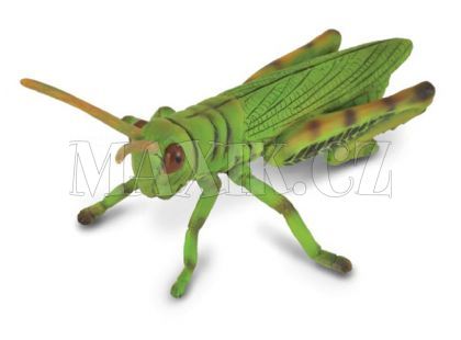 Collecta Kobylka luční 8,5cm