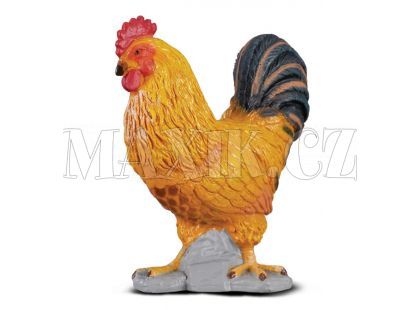Collecta Kohout