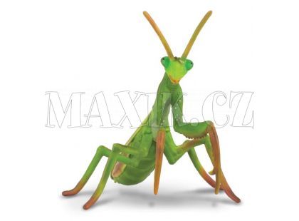 Collecta Kudlanka nábožná