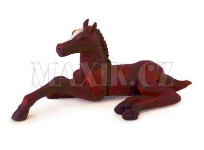 Collecta Lipicán hříbě ležící