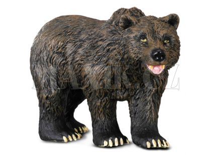 Collecta Medvěd Grizzly v chůzi 11cm