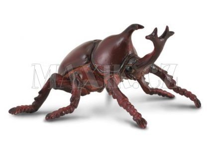 Collecta Nosorožík kapucínek