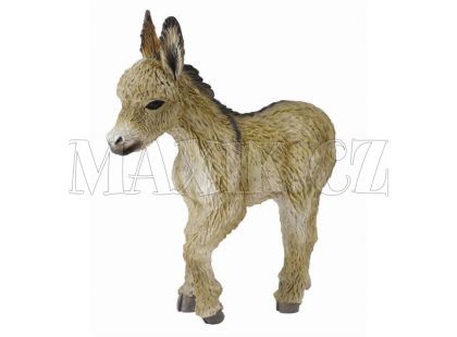 Collecta Osel hříbě