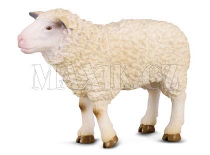 Collecta Ovce