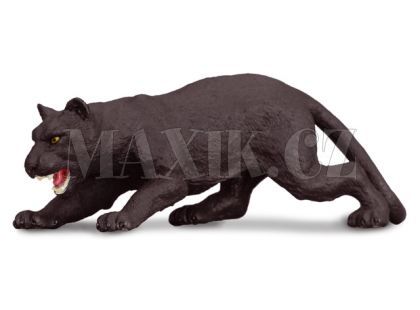 Collecta Panter černý 11cm