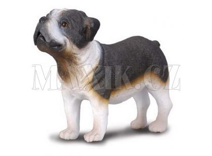 Collecta Pes Buldog