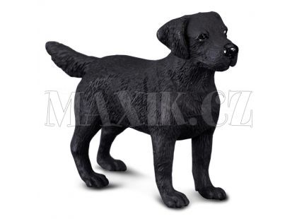 Collecta Pes Labradorský Retrívr