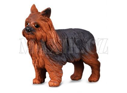 Collecta Pes Yorkshirský teriér