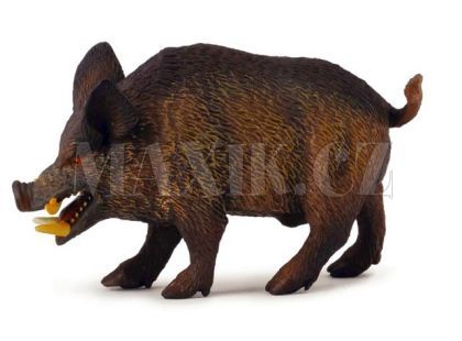 Collecta Prase divoké kanec