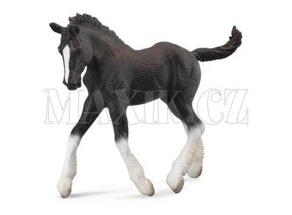 Collecta Shirský kůň - hříbě černé