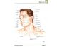 Cprees Netterův anatomický atlas člověka 2