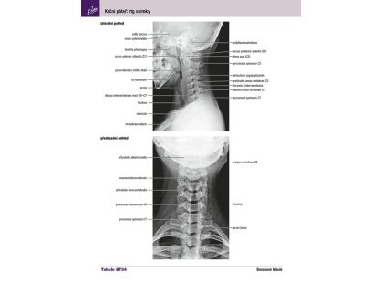 Cpress Netterův anatomický atlas člověka Překlad 8. vydání