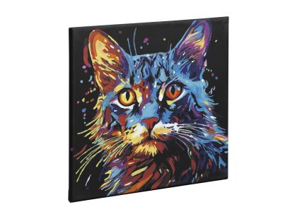 Craft Creative Malování podle čísel na černé plátno kočka