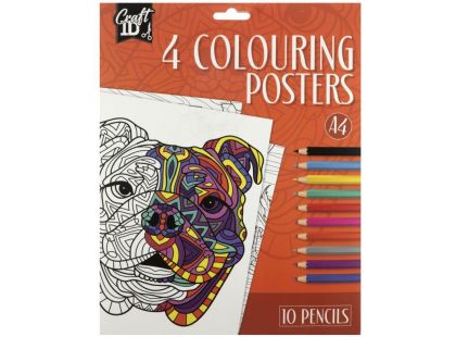 Craft Creative Vymalovánky 4 obrázky + 10 pastelek A4 oranžové balení