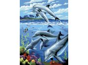 Creatoys Malování 22 x 30cm Delfíni