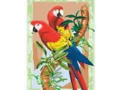 Creatoys Malování 22 x 30cm Papoušci