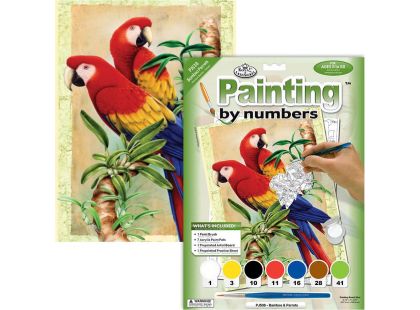 Creatoys Malování 22 x 30cm Papoušci