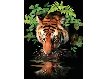Creatoys Malování 22 x 30cm Tygr u vody