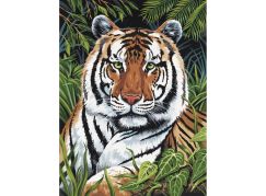 Creatoys Malování 22 x 30cm Tygr v trávě